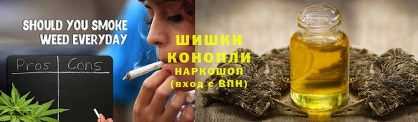 прущие крисы Арсеньев
