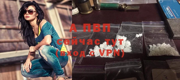 сатива Армянск