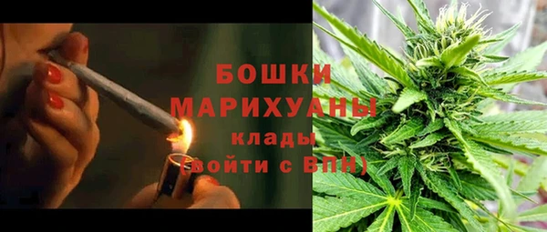 сатива Армянск